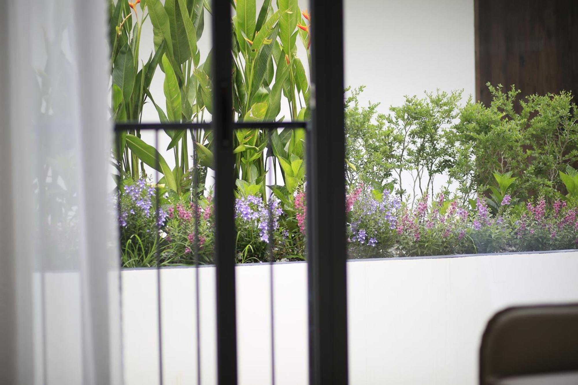 Dd Hospitality - Mi Amor ดาลัด ภายนอก รูปภาพ